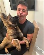 Simon Cowell's Puppy: the Adorable Addition to a Star's Life