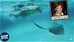 Stingray Steve Irwin: the Legacy of a Wildlife Warrior