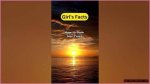 Surprising Truths and Untold Insights