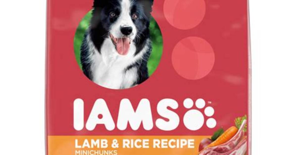 The Comprehensive Guide to Iams Dog Food: Everything You Need to Know