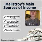 The Definitive Guide to Understanding Did Mellstroy