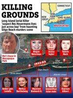 The Enigmatic Case of the Long Island Killer: a Deep Dive into Mystery and Investigation