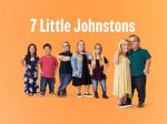 The Little Johnsons: a Journey Through Life and Family
