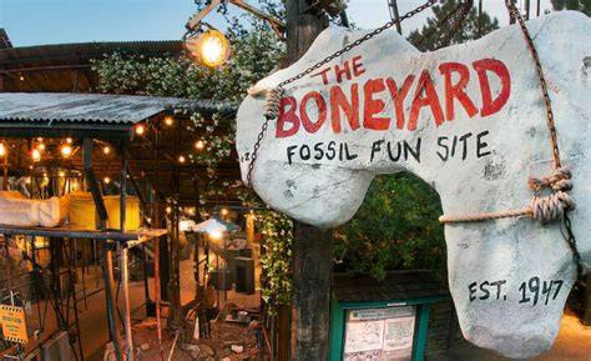 Tips for Finding the Best Boneyard for Barnwood Builders