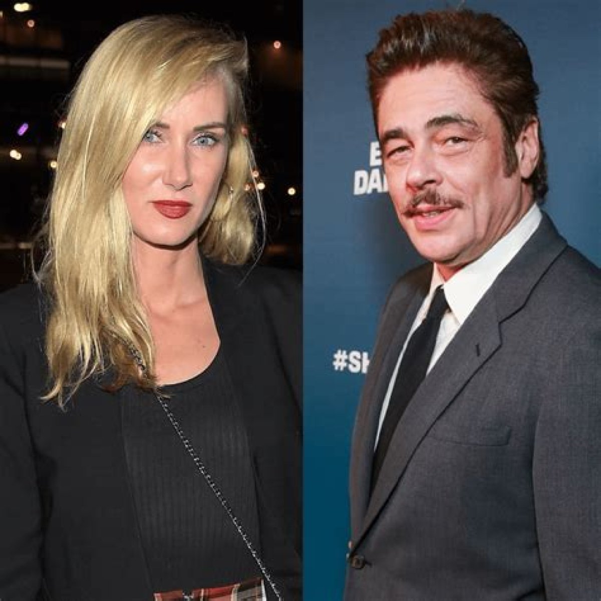 Understanding Benicio Del Toro's Wife: a Comprehensive Insight