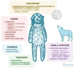Understanding Hypertrichosis in Cats: Causes, Symptoms, and Care