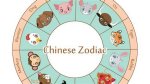 Understanding the 1976 Chinese Zodiac: Insights and Implications