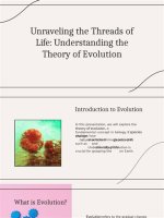 Understanding the Evolution and Impact of Sex Mms New