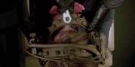 Understanding the Intricacies of the Reverse Bear Trap