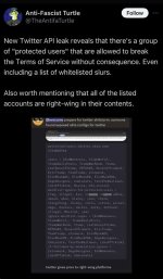 Understanding Twitter Api Leak Protected Users