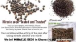 Unlocking the Benefits of Miracle Seed: a Comprehensive Guide