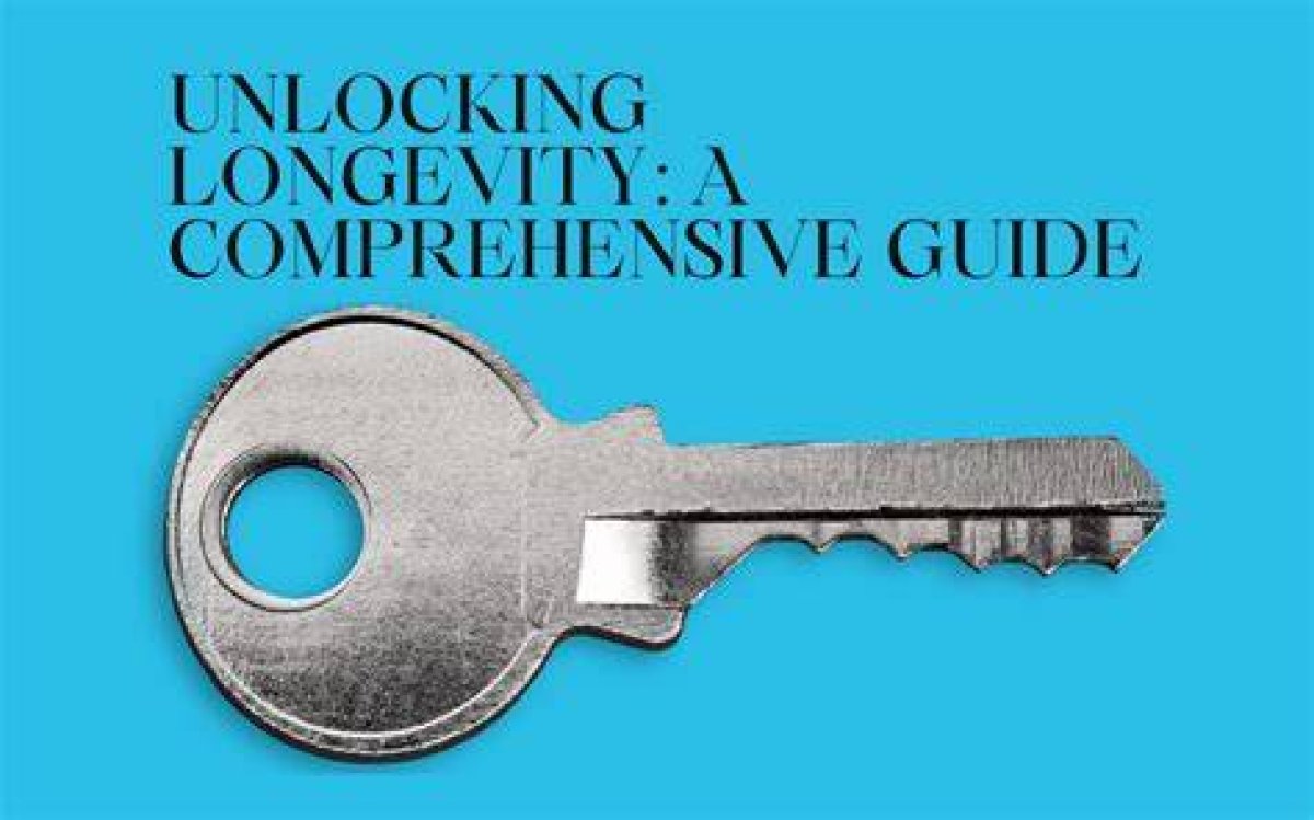 Unlocking the Internet: a Comprehensive Guide to Website Unblockers