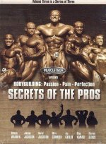 Unlocking the Secrets of Bodybuilding Perfection