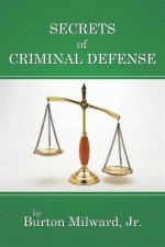Unlocking the Secrets of Criminal Defense with David Rudolf
