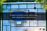 Unraveling the Mystery of the Miami Cannibal Attack