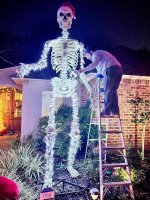 Unveiling the Fascination: the 12 Foot Skeleton Phenomenon