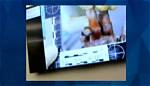Unveiling the Gannon Stauch Autopsy Photos Leak: Exclusive Insights