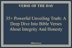 Unveiling the Truth: a Deep Dive into Witness Reports