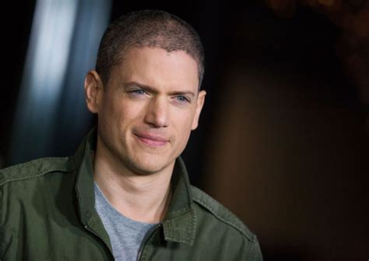 Wentworth Miller: Is He Gay?