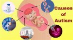 What Causes Autism in the Womb?