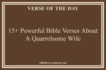 What the Bible Says About Quarreling Wife? Celebrity. Fm #1 Official Stars, Business & People
