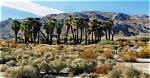 Who Is Louis Kimble from Twentynine Palms? Fatal Attraction Retells the Story of California Murder |
