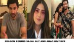 Why Sajal and Ahad Divorce: the Untold Story Behind the Split